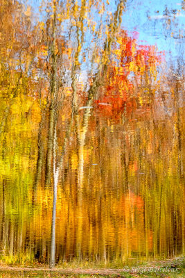 Impression d'automne