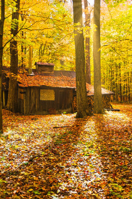 3-Dernires lueurs de l'automne