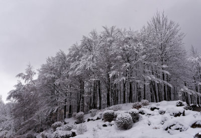 Matin frisquet