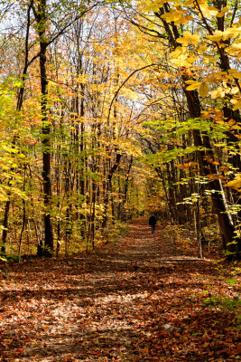 Automne