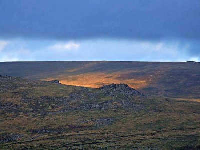 Dappled Light on a Dartmoor hillside