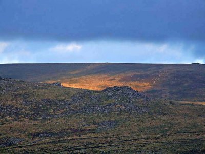 Dappled Light on a Dartmoor hillside