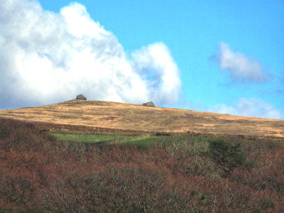 Dartmoor Tors from near the Fox & Hounds
