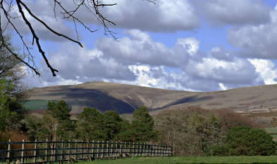The High North Moor from Cycle Path at Bridestowe