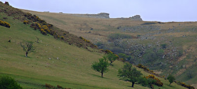 Landscape on the other side of Meldon reservoir