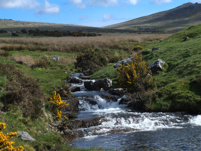 Moor Brook by Okehampton Army Camp