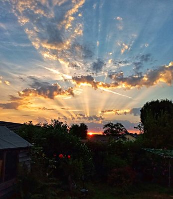 Sunset Rays from back garden