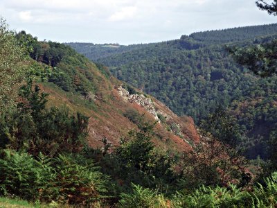 Castle Drogo valley.jpg