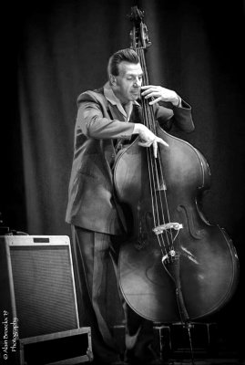 The Revolutionaires (UK) 