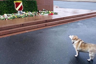 17.03.2019