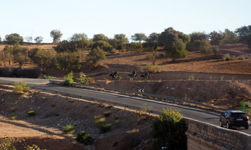 On the road from Essaouira to Casablanca