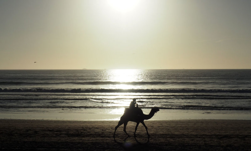 Rider on the beach