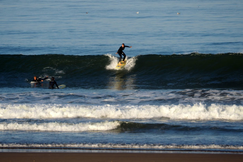 Surfing in the morning