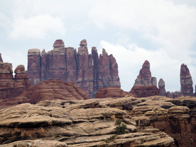 Some of the Needles in Needles District of Canyonlands