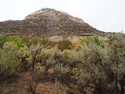 Scene around Newspaper Archeological Site, Utah