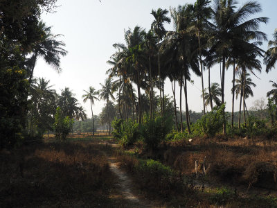 Dhoni, Kerala