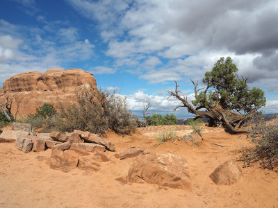 Desert Landscape, Arches NP