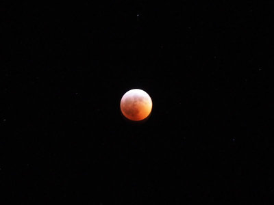 Super Blood Wolf moon of January 2019