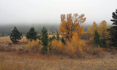 Fall in the Rocky Mountain NP