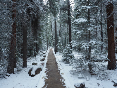 Leaving Bierstadt Lake, Rocky Mountain NP