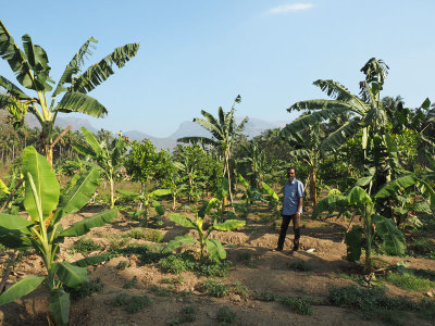 My cousin on the farm in Dhoni, Kerala