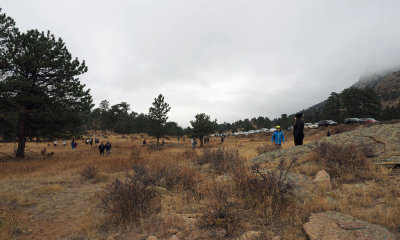 Tourists, Rocky Mountain NP