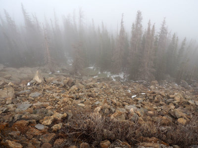 The mist creeps up from beneath us at Rainbow Curve, Rocky Mountain NP