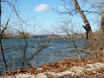The Potomac in winter