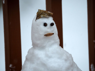 January 2019 - A miniature snowman