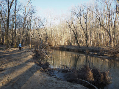 Seneca Creek in the morning