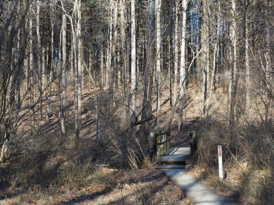 Mink Hollow Trail, Seneca Creek State Park