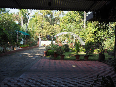 The garden
