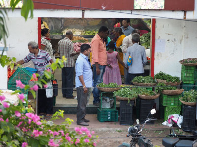 Shopping at the vegetable shop