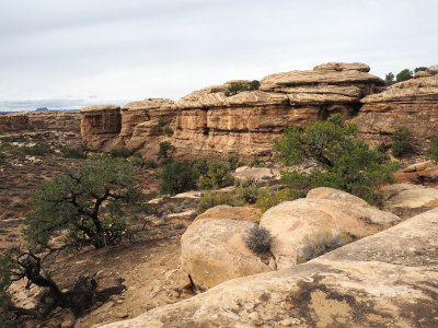 On Slickrock trail, Needles District of Canyonlands NP