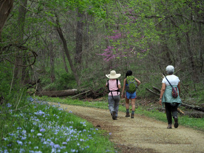 Walkers on the trail