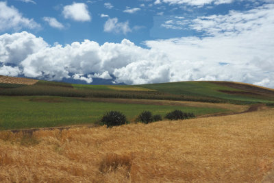 Driving past farms on the way to Moray agricultural fields