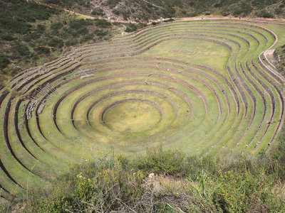 The Moray Agricultural terraces