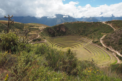 Trails to the Moray Agricultural Terraces