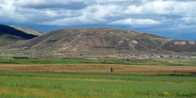 Habiitation the Altiplano, or high plains, of Peru