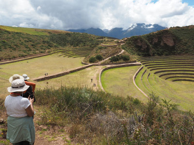 The Moray Agricultural terraces