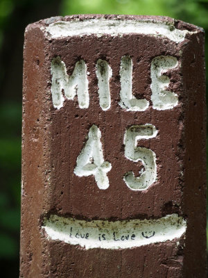 Love is Love - the 45th mile of the towpath!