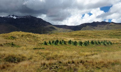 The Altiplano, or high plains, of Peru