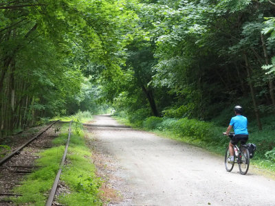 Tracks left beside the trail