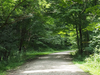 The Great Allegheny Passage trail