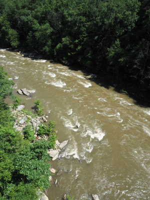 Downstream from the Youghiogheny high bridge