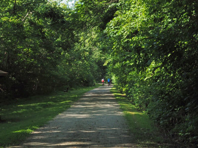 Morning on the Great Allegheny Passage