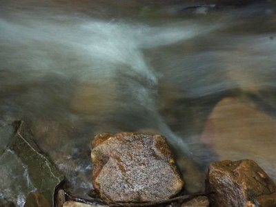 A rock in the stream