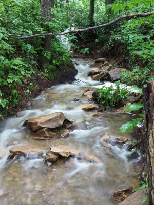 The stream after the rain