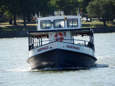 g12/55/529055/3/169894176.wyHTbrnM.jpg