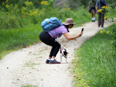 Picture on the trail